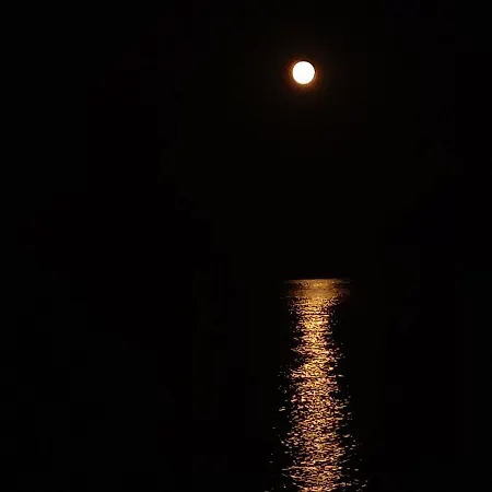 Beau 2P Spacieux Proche Plage Et Toutes Commodites *